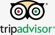 trip-advisor-logo-gris