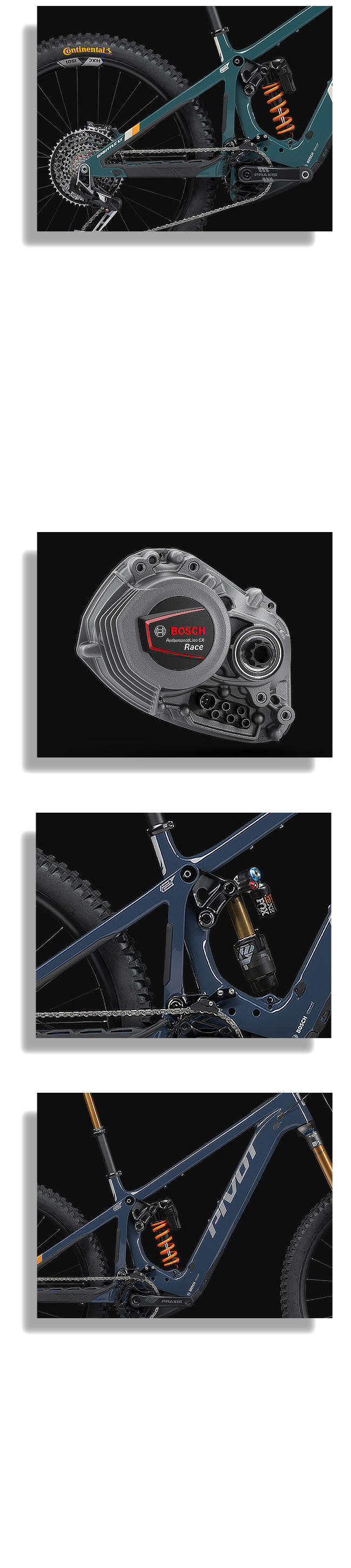 Plantilla detalles bicis