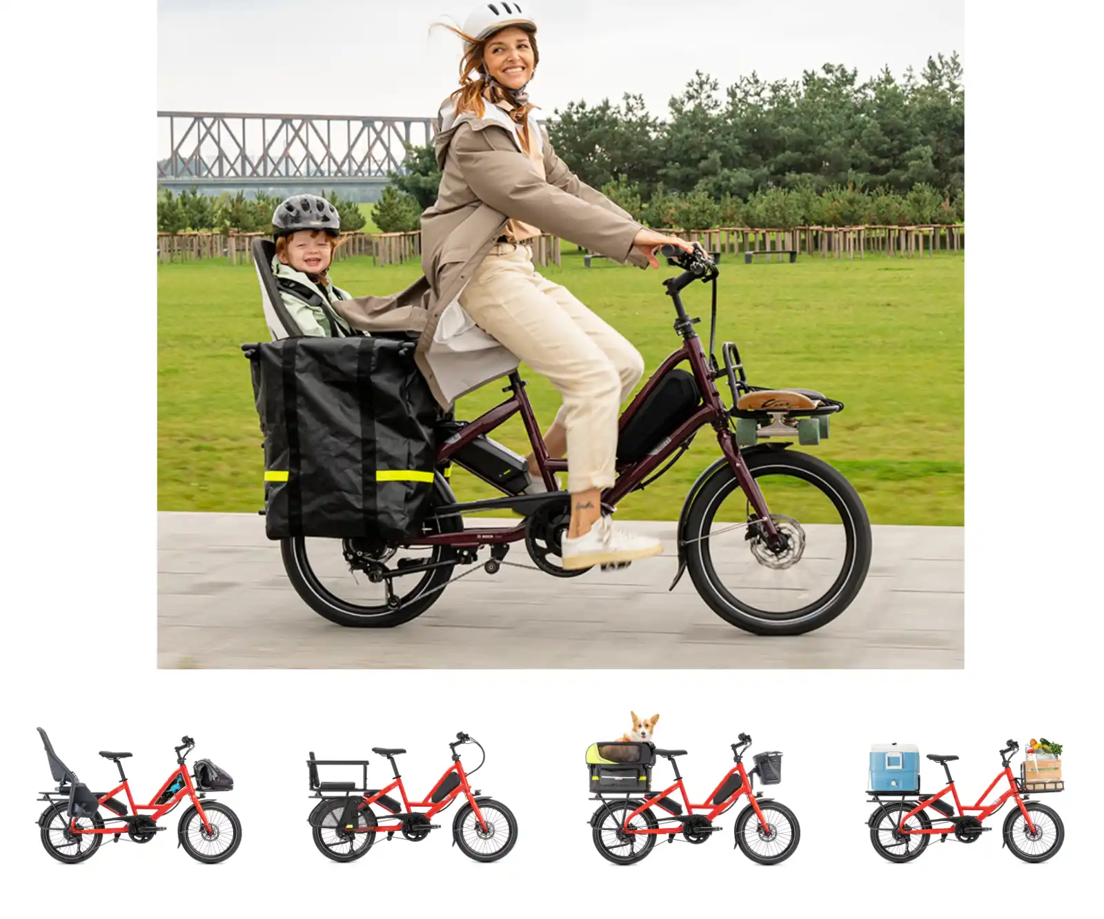 Detalles Tern QuicK Haul P9
